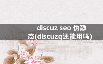 discuz seo 伪静态(discuzq还能用吗)